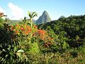 View from our room of Gros Piton mountain